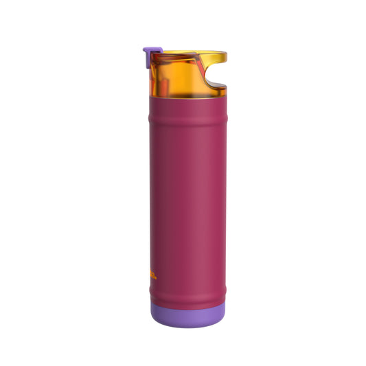 bubba 24 oz DualSip Insulated Stainless Steel Water Bottle - Locker Love - US 7903